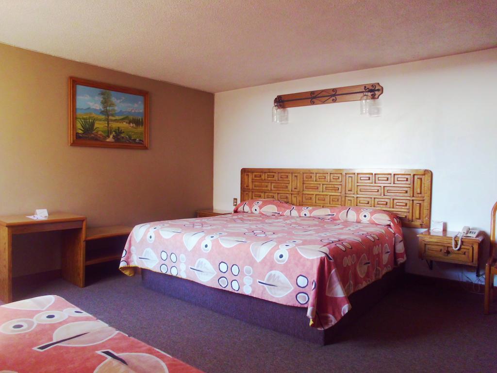 Hotel La Posada Apizaco Rum bild