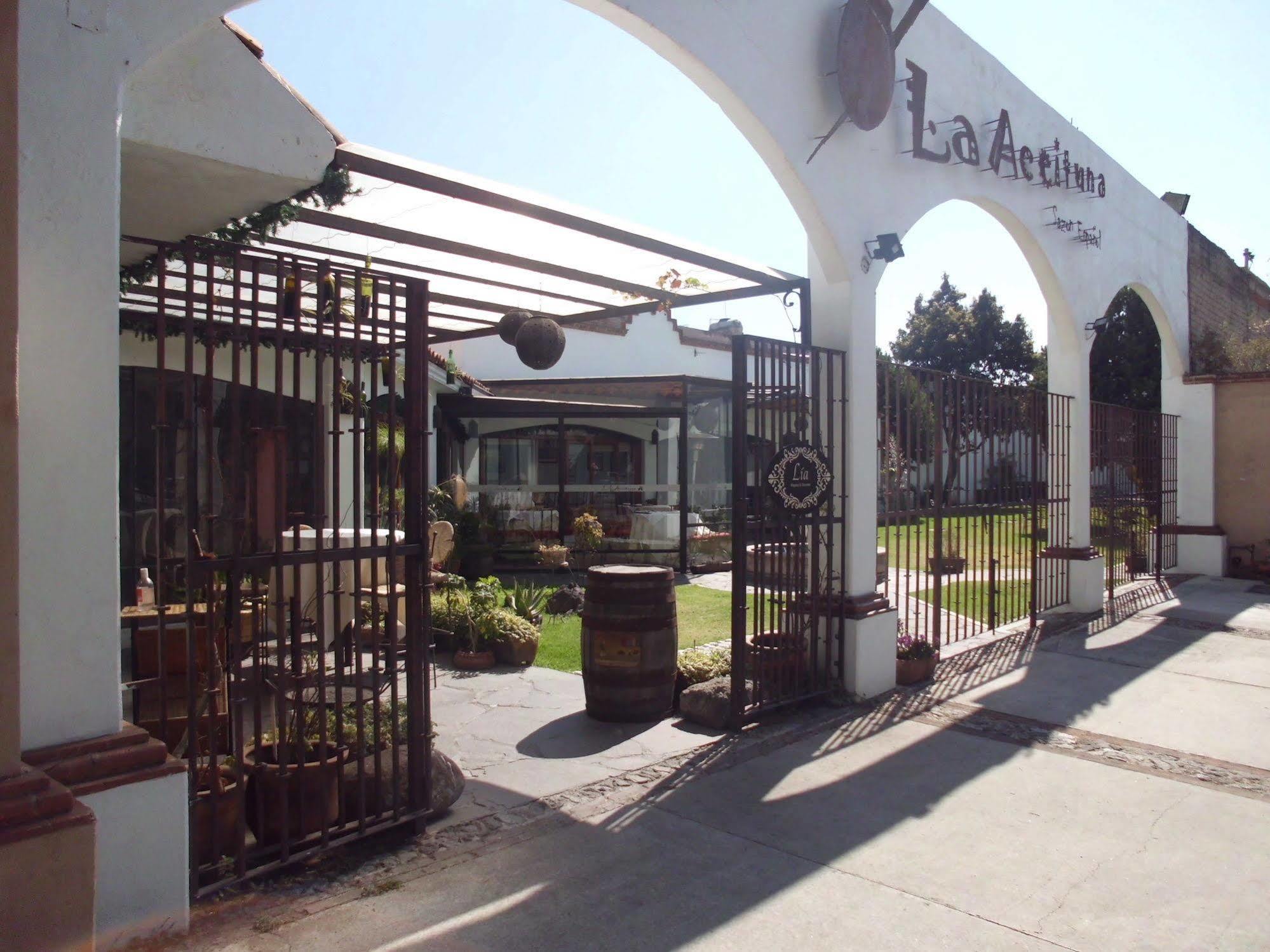 Hotel La Posada Apizaco Exteriör bild
